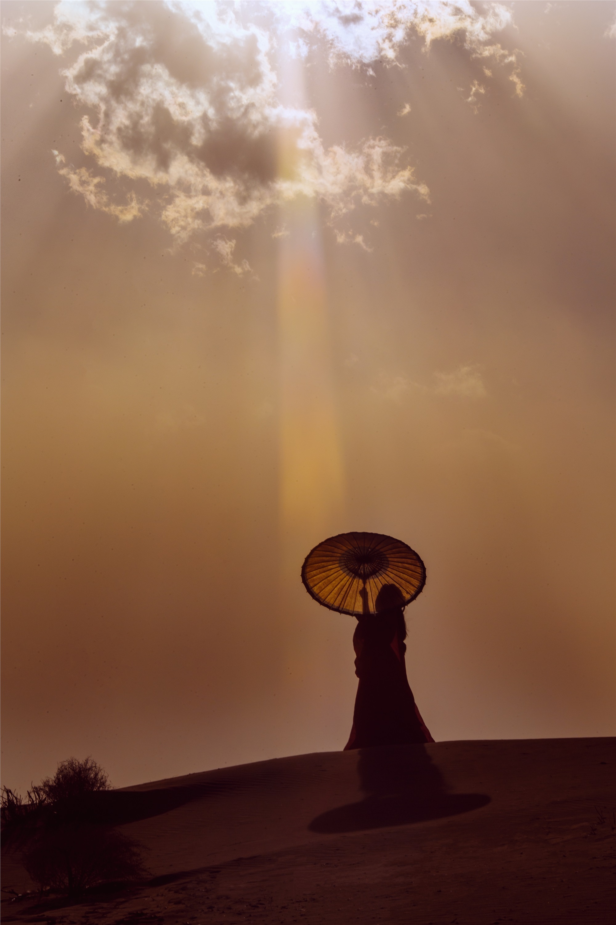 YITUYU艺图语 2021.09.08 漠上行 兔小白